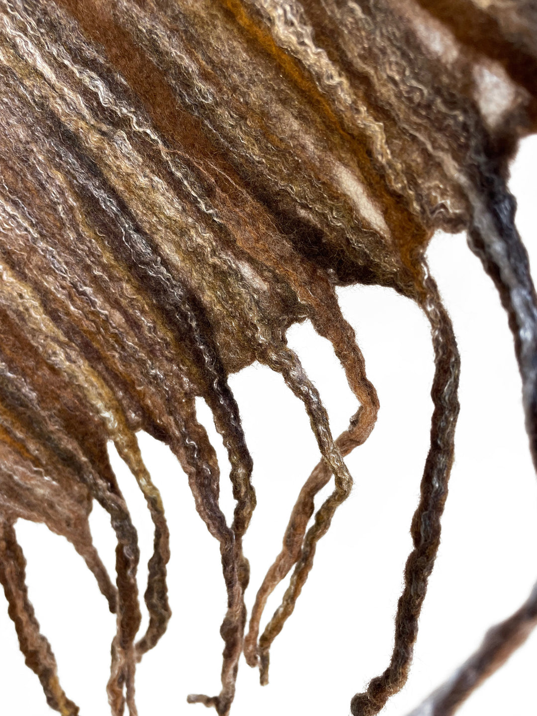 Tree Bark