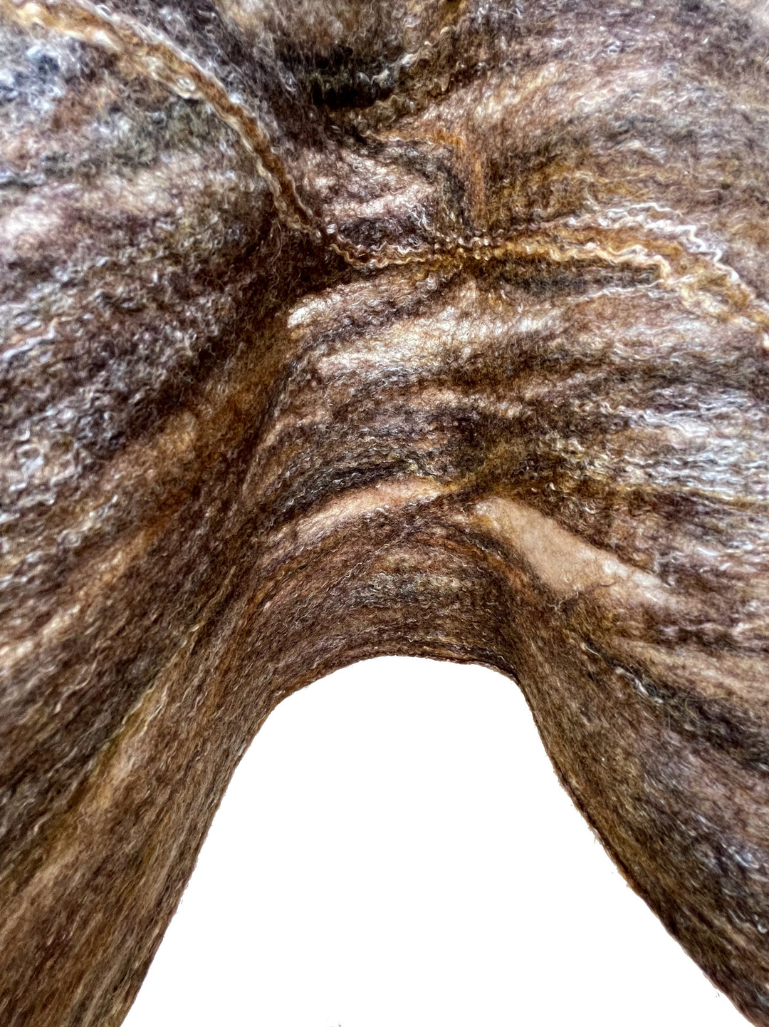 Tree Bark