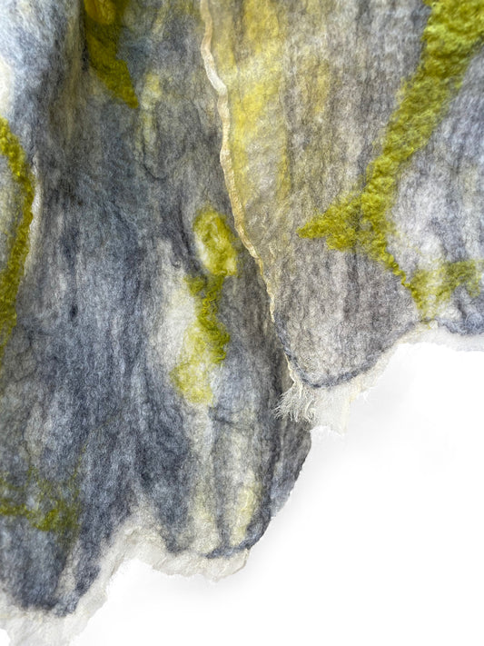 Lichen