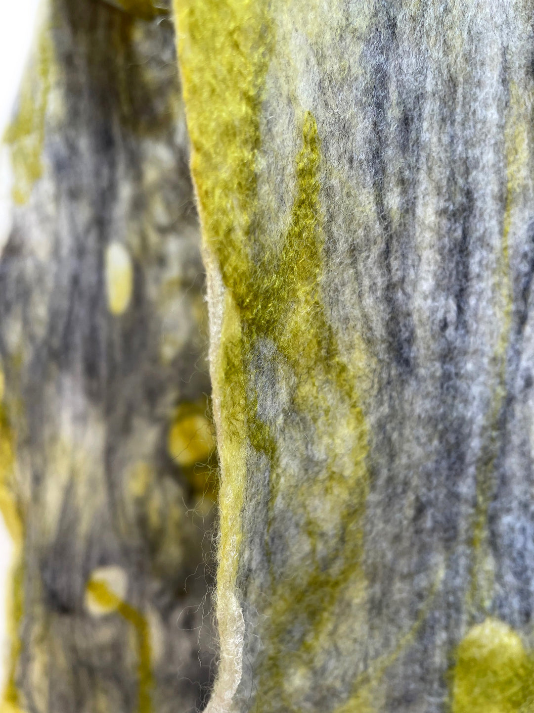 Lichen
